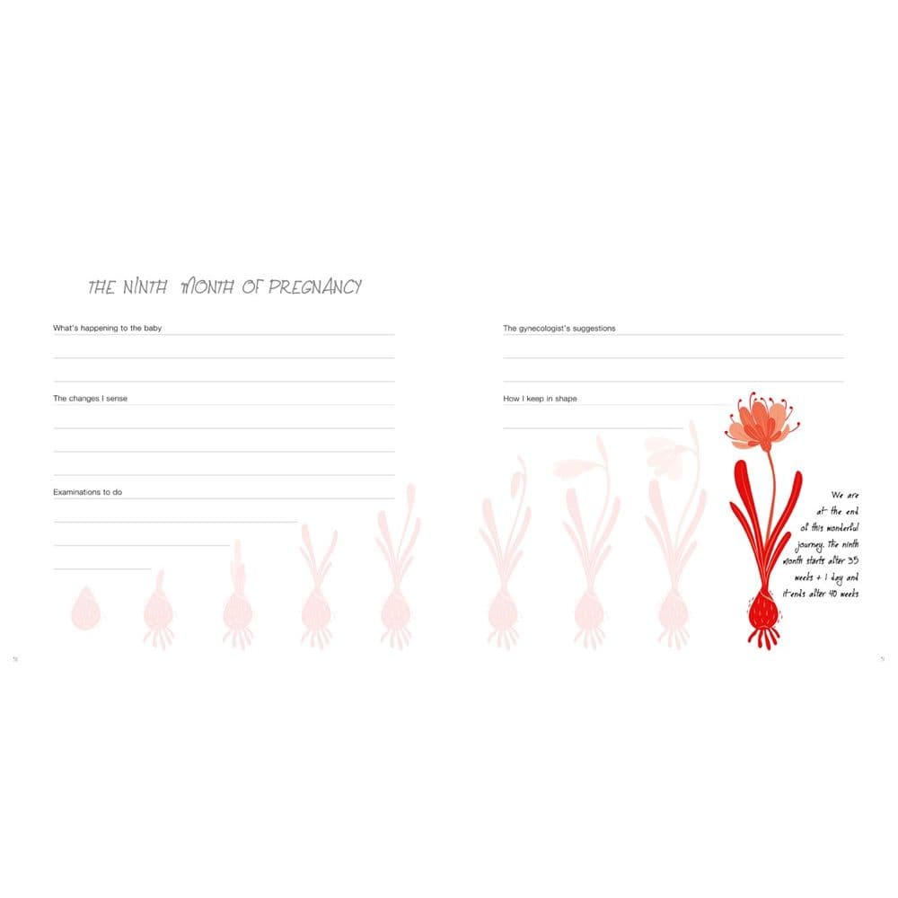 The Pregnancy Journal: 9 Months to Remember First Alternate  Image width="1000" height="1000"
