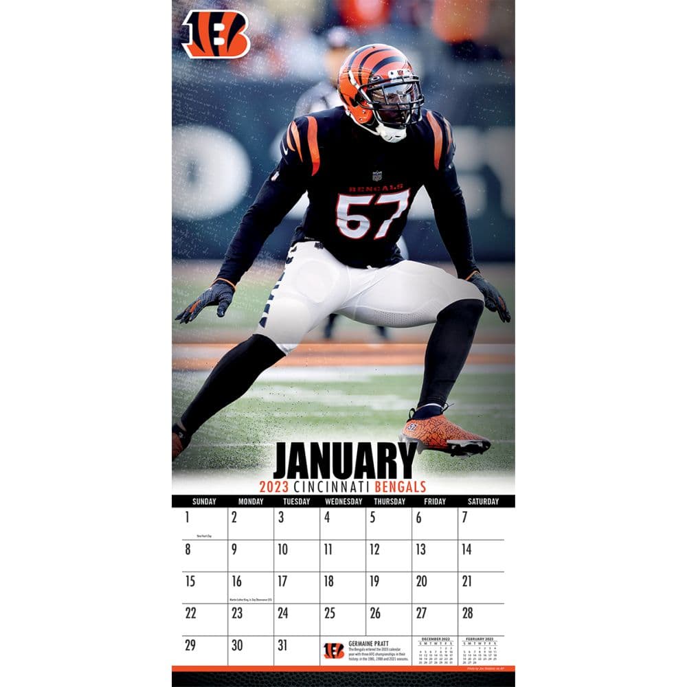 NFL Cincinnati Bengals 2023 Mini Wall