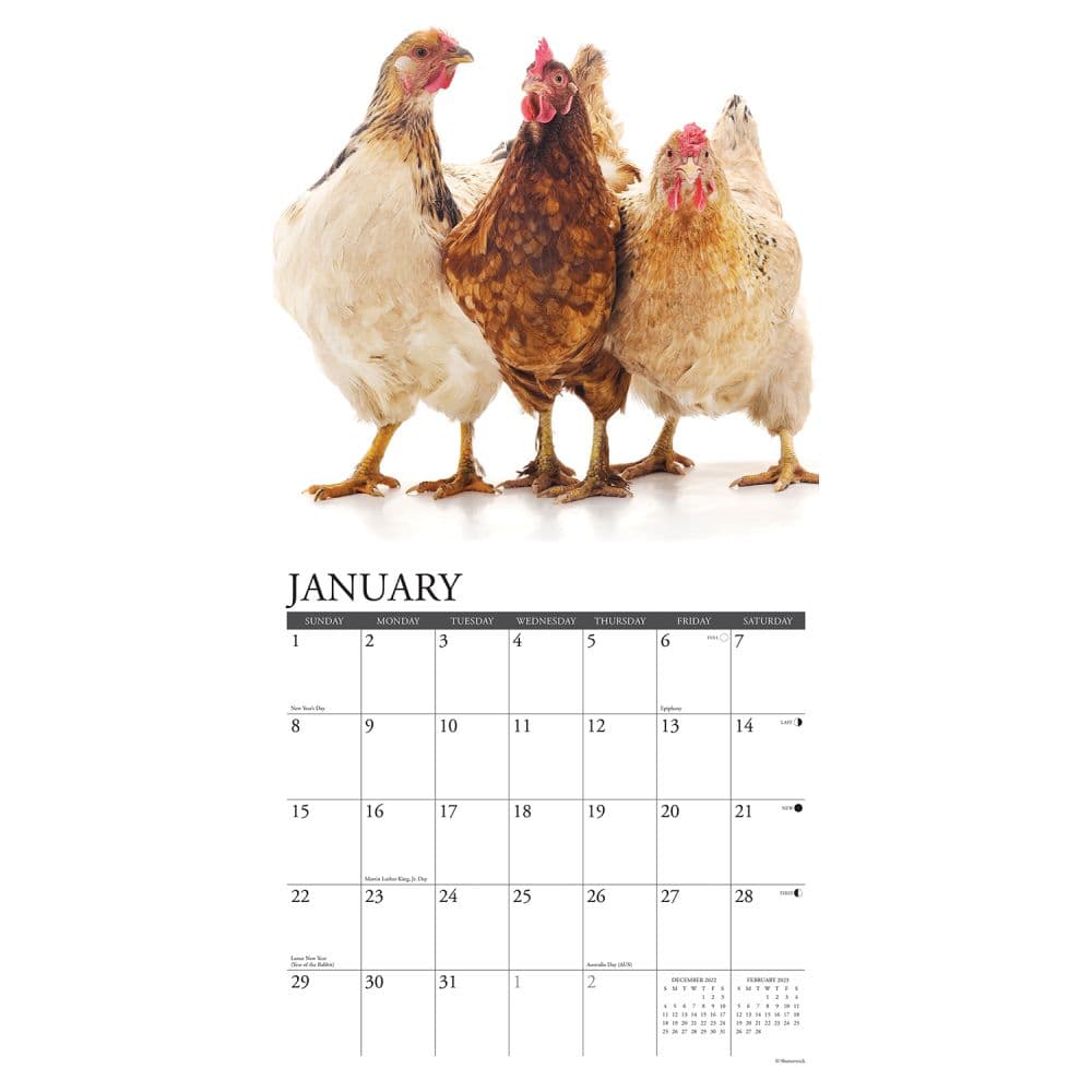 Just Us Chickens 2023 Wall Calendar - Calendars.com