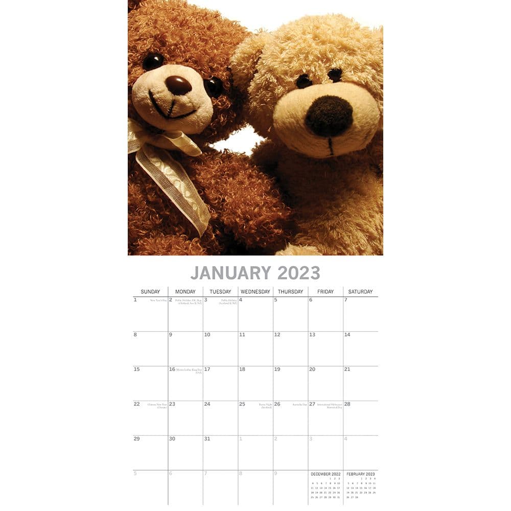 Teddy Bears 2023 Wall Calendar - Calendars.com Teddy Bears 2023 Wall Calendar - Calendars.com