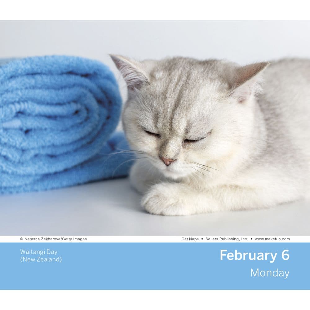 Cat Naps 2023 Desk Calendar Calendars cat-naps-2023-desk-calendar-calendars