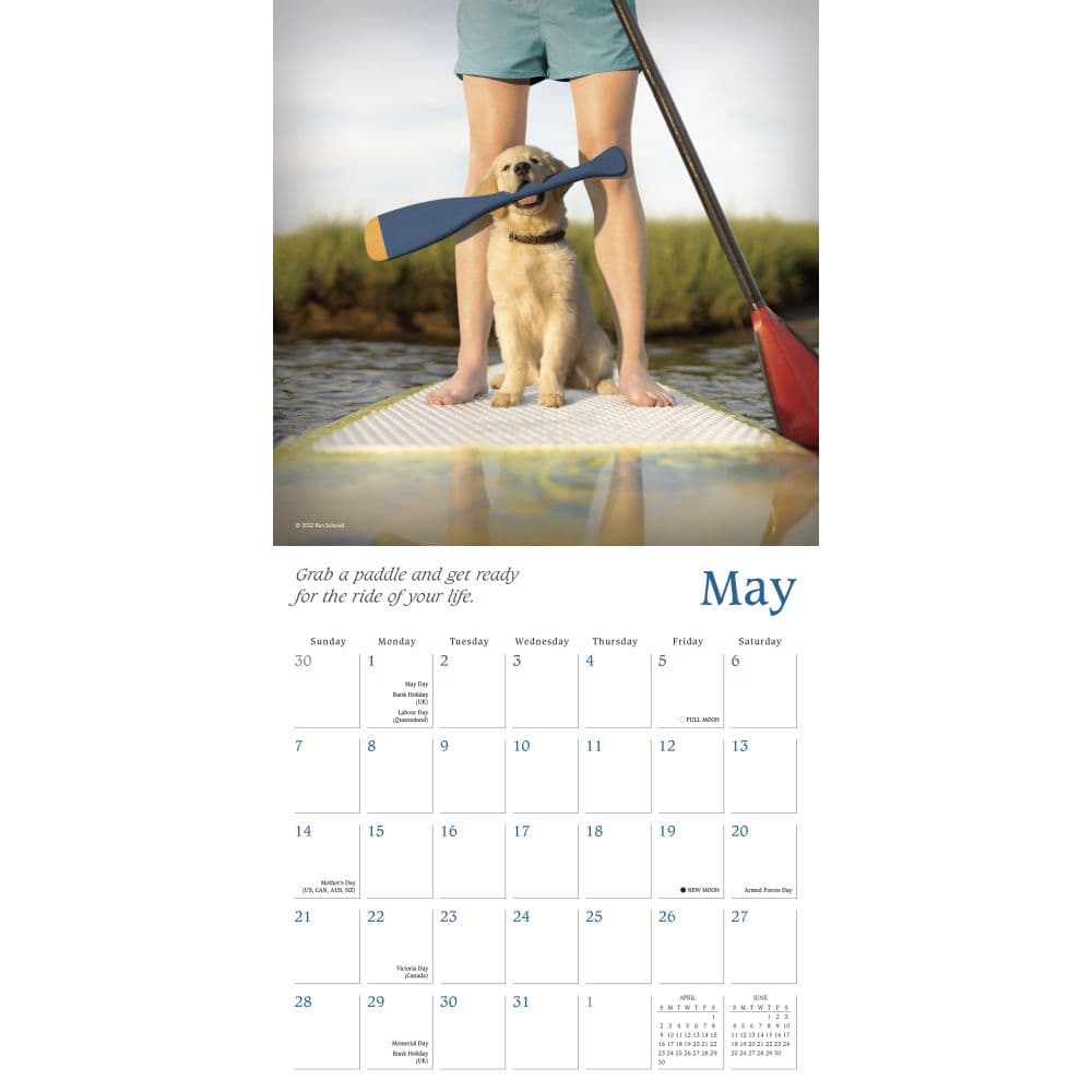 Dogma 2023 Wall Calendar