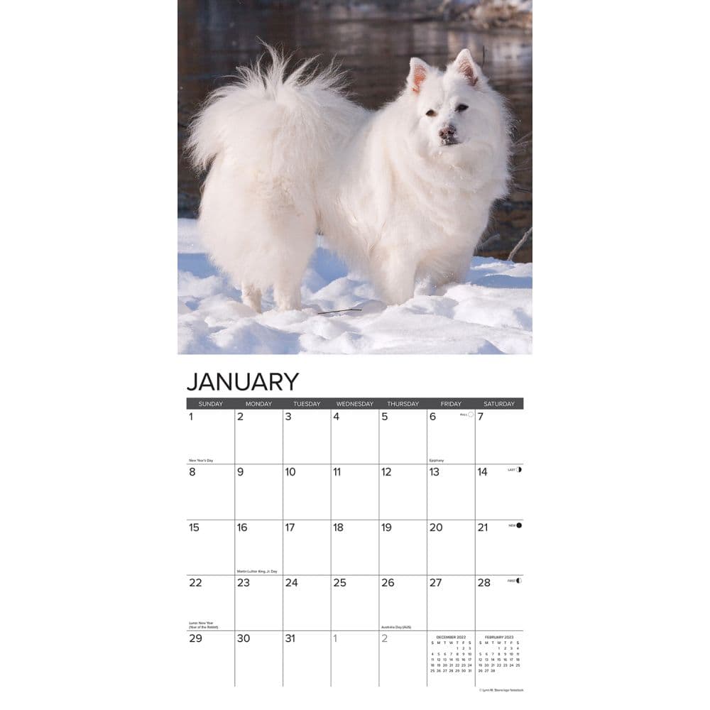 are american eskimo dogs okay in warm weather