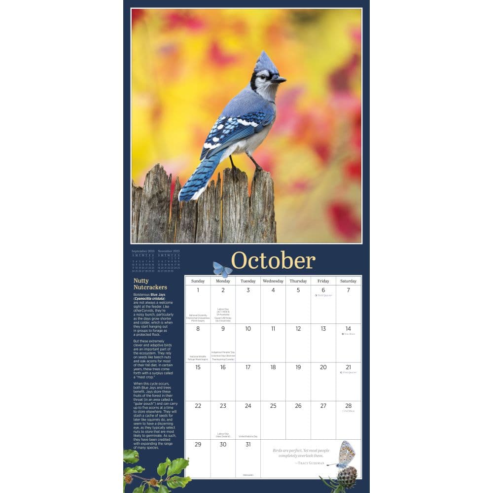 Audubon Garden Birds 2023 Wall Calendar - Calendars.com