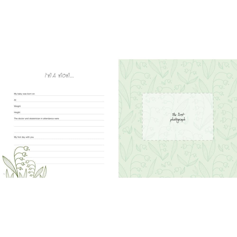 The Pregnancy Journal: 9 Months to Remember Second Alternate  Image width="1000" height="1000"