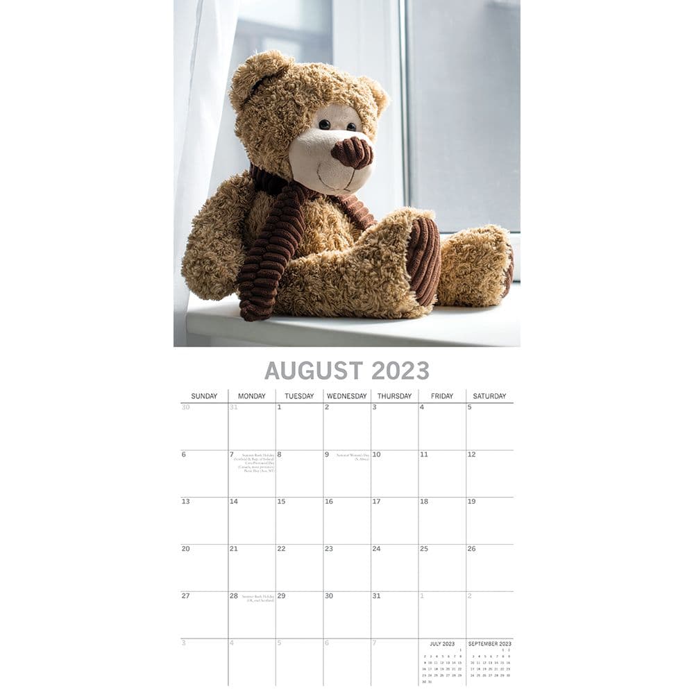 Teddy Bears 2023 Wall Calendar - Calendars.com
