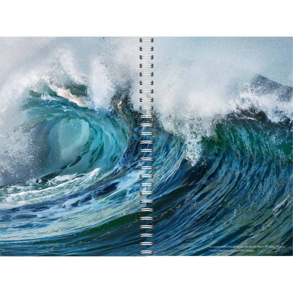 Audubon 2023 Engagement Calendar Calendars