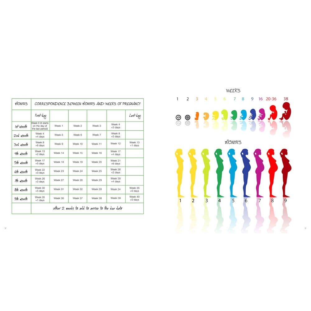 The Pregnancy Journal: 9 Months to Remember Third Alternate  Image width="1000" height="1000"