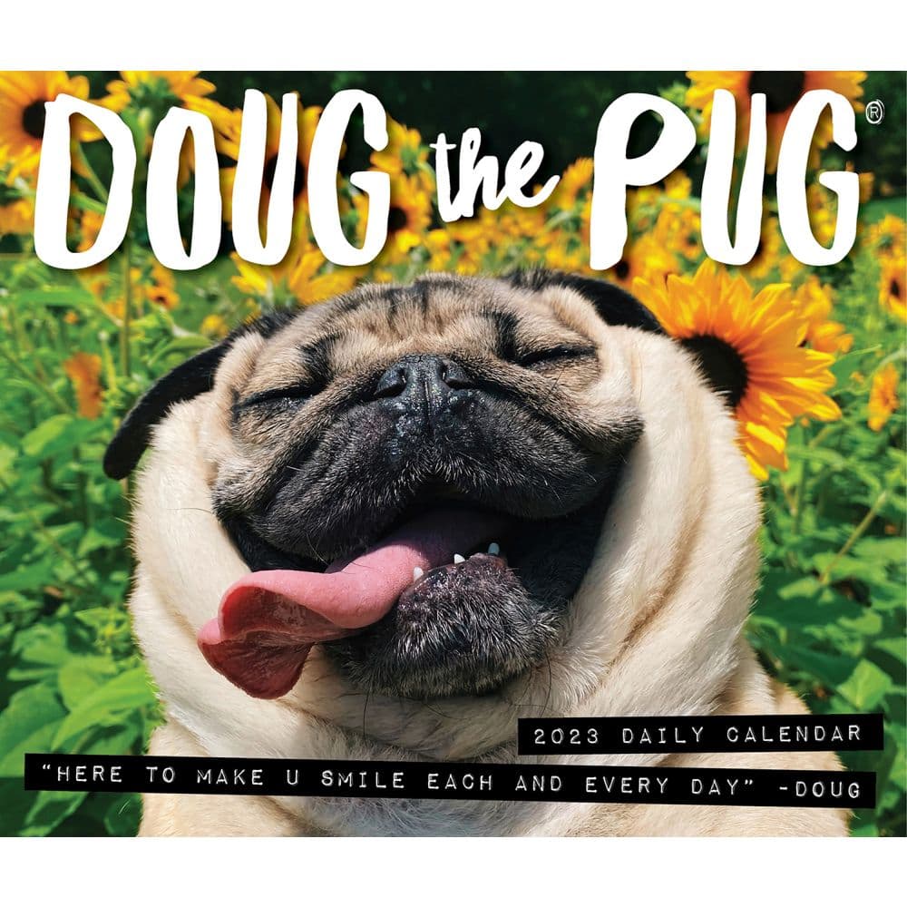 doug-the-pug-2023-desk-calendar-calendars-com