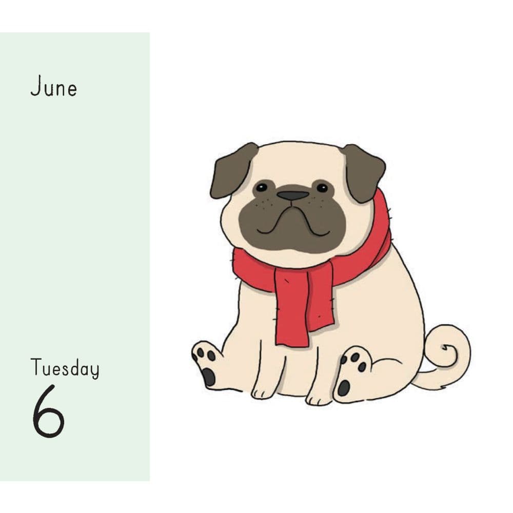 liz-climo-2023-daily-calendar-calendars-com