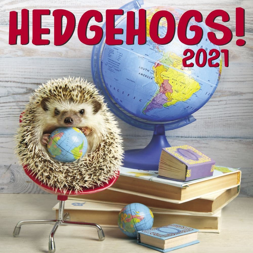 Hedgehogs Wall Calendar