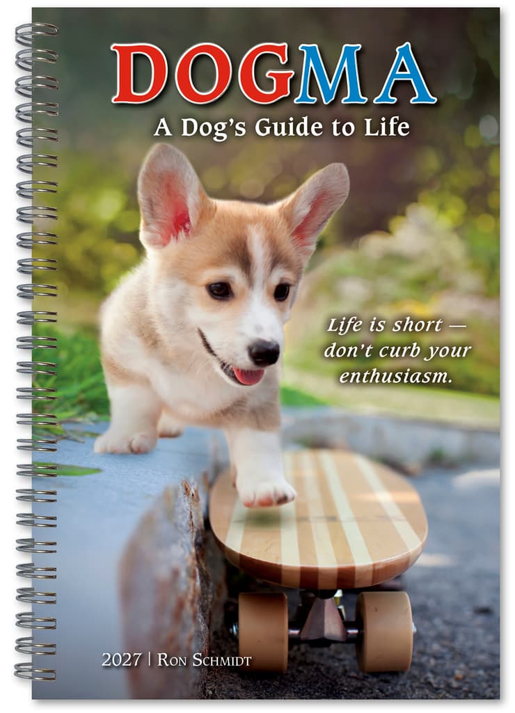 Dogma 2027 Engagement Planner Main Product Image