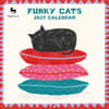 image Funky Cats 2027 Wall Calendar Main Product Image