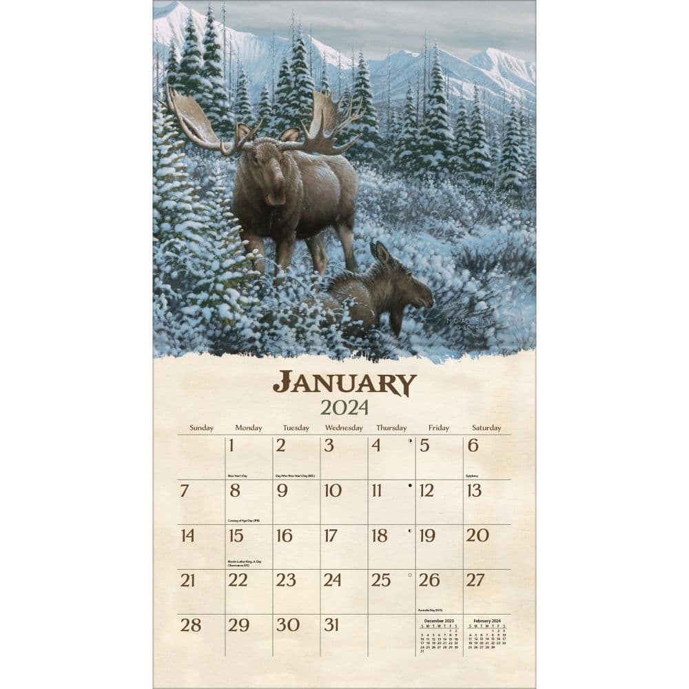 Beyond The Woods 2024 Wall Calendar