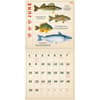 image Fishing Illustrations 2025 Wall Calendar