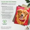 image What Goldens Teach Us 2026 Engagement Planner Fifth Alternate Image