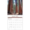 image National Parks 2025 Wall Calendar