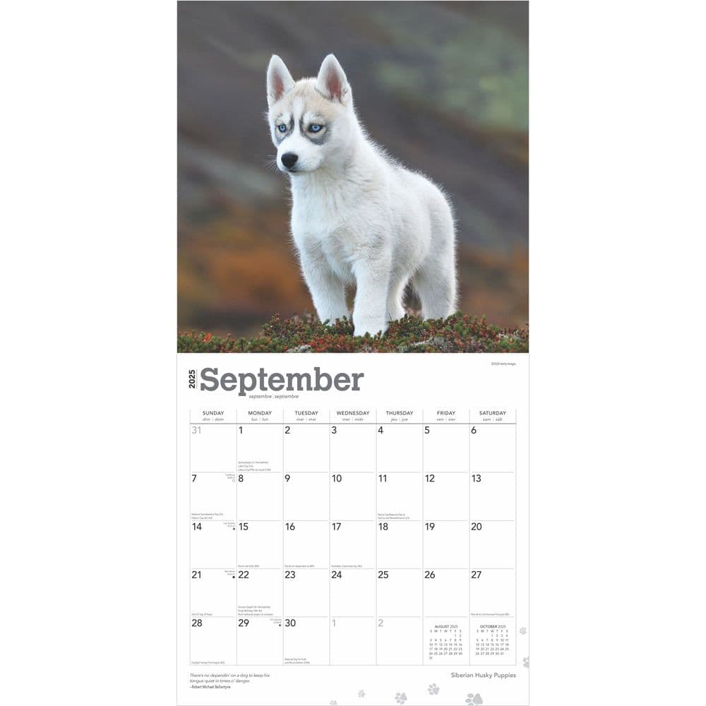 Siberian Husky Puppies 2025 Wall Calendar Third Alternate Image width=&quot;1000&quot; height=&quot;1000&quot;