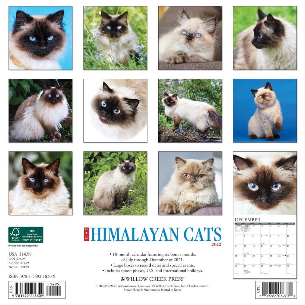 2022 Calendar Mini Birman Cat academic calendar 2022