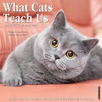 image What Cats Teach Us 2026 Wall Calendar Main Image