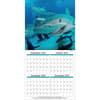 image Sea Creatures 2025 Wall Calendar Third Alternate Image