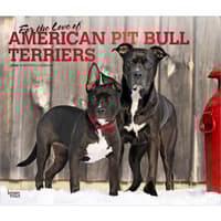 image Pit Bull Terriers 2026 Deluxe Wall Calendar