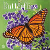 image Butterflies 2024 Wall Calendar Main Product Image width=&quot;1000&quot; height=&quot;1000&quot;