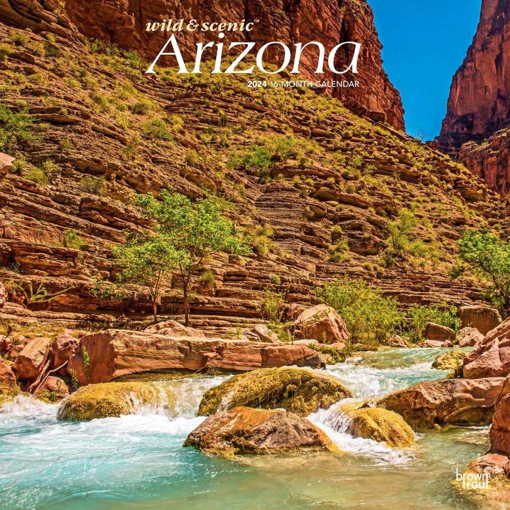 Arizona Wild and Scenic 2024 Wall Calendar Main Product Image width=&quot;1000&quot; height=&quot;1000&quot;