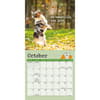 image Dog is Good Fur Wisdom 2026 Mini Wall Calendar Fourth Alternate Image