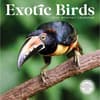 image Exotic Birds 2025 Wall Calendar  Main Image