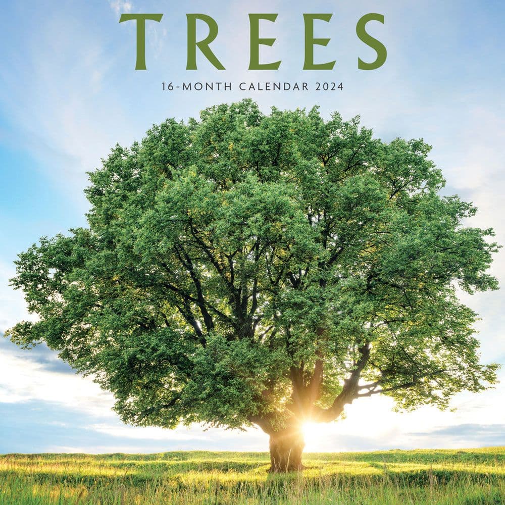 Trees 2024 Wall Calendar - Calendars.com