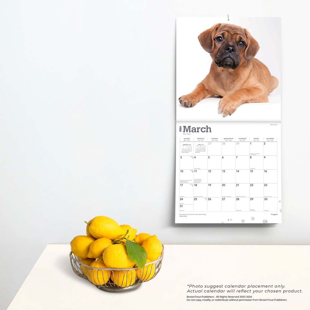 Puggles 2025 Wall Calendar