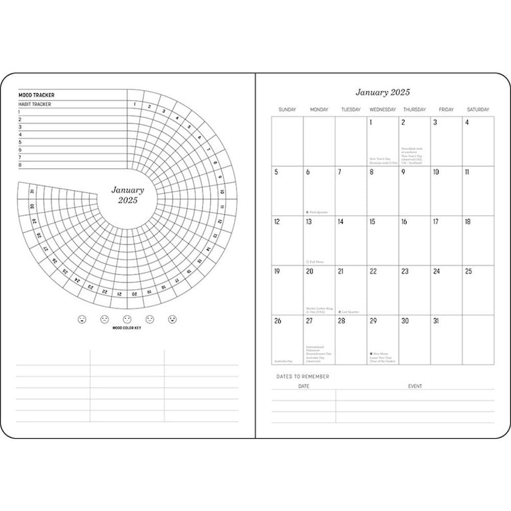 Thomas Kinkade Mandalorian 2025 Planner