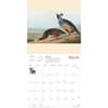 image Fitzwilliam Audubon Birds 2025 Wall Calendar Second Alternate Image