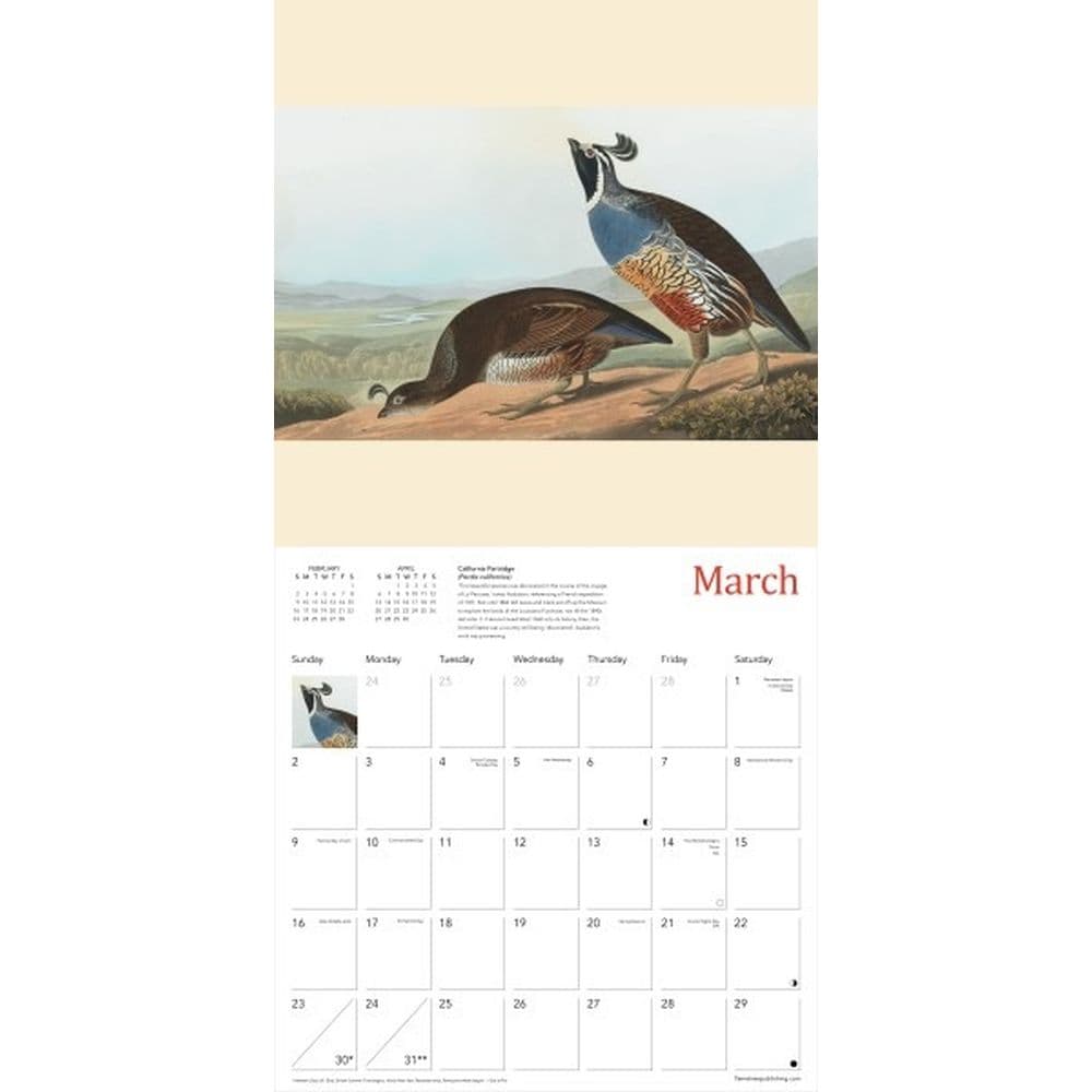 Fitzwilliam Audubon Birds 2025 Wall Calendar Second Alternate Image