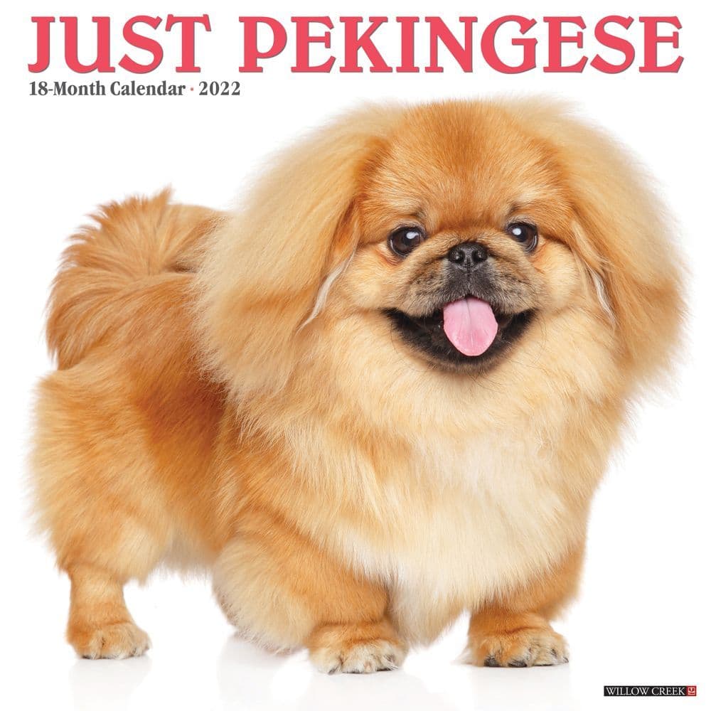 Pekingese 2022 Wall Calendar - Calendars.com
