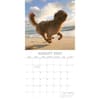 image Dogs in the Wind 2025 Wall Calendar Third Alternate Image width=&quot;1000&quot; height=&quot;1000&quot;