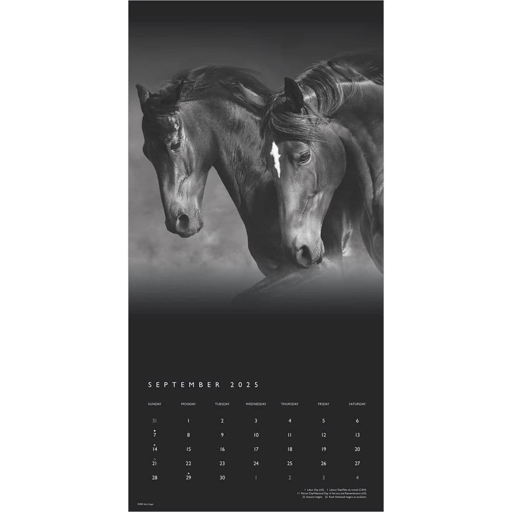 Noble Horses Portrait Series 2025 Wall Calendar Third Alternate Image width=&quot;1000&quot; height=&quot;1000&quot;