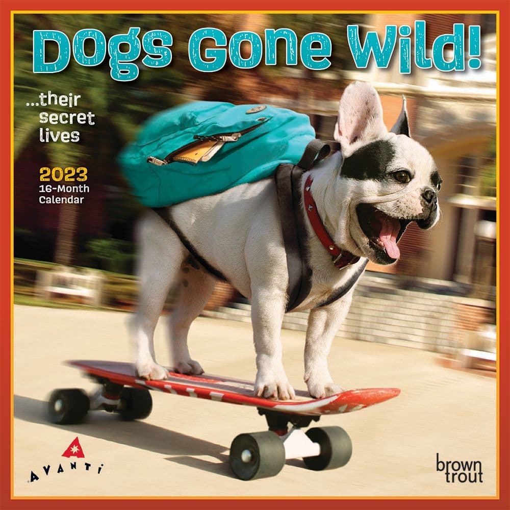 BrownTrout Avanti Dogs Gone Wild 2023 Mini Wall Calendar