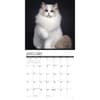 image Just Cats 2025 Wall Calendar Second Alternate Image width=&quot;1000&quot; height=&quot;1000&quot;