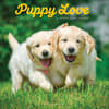 image Puppy Love ASPCA 2024 Wall Calendar Main