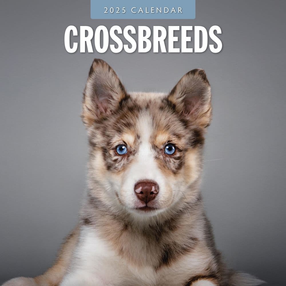 Crossbreeds 2025 Wall Calendar Main Product Image width=&quot;1000&quot; height=&quot;1000&quot;