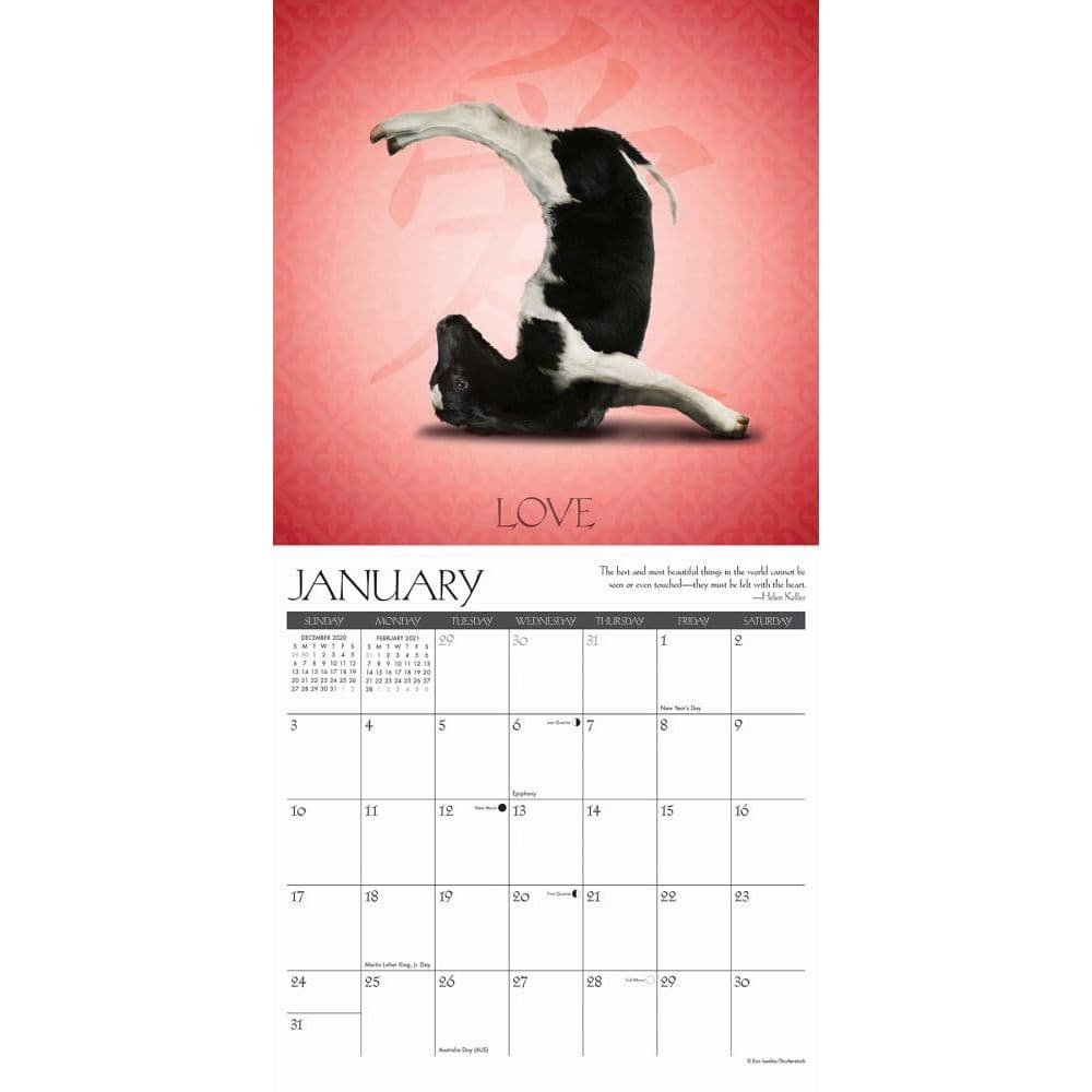 Cow Yoga Wall Calendar
