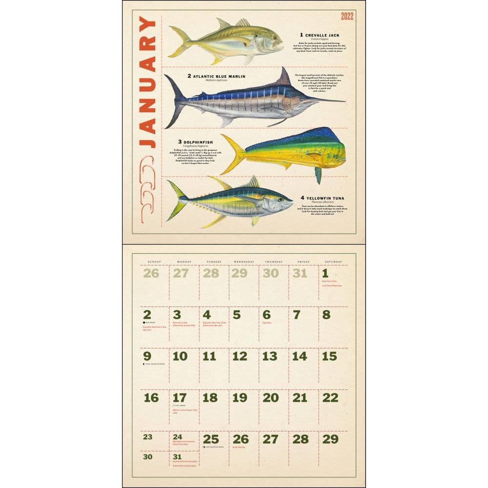 Fishing Illustrations 2022 Wall Calendar - Calendars.com