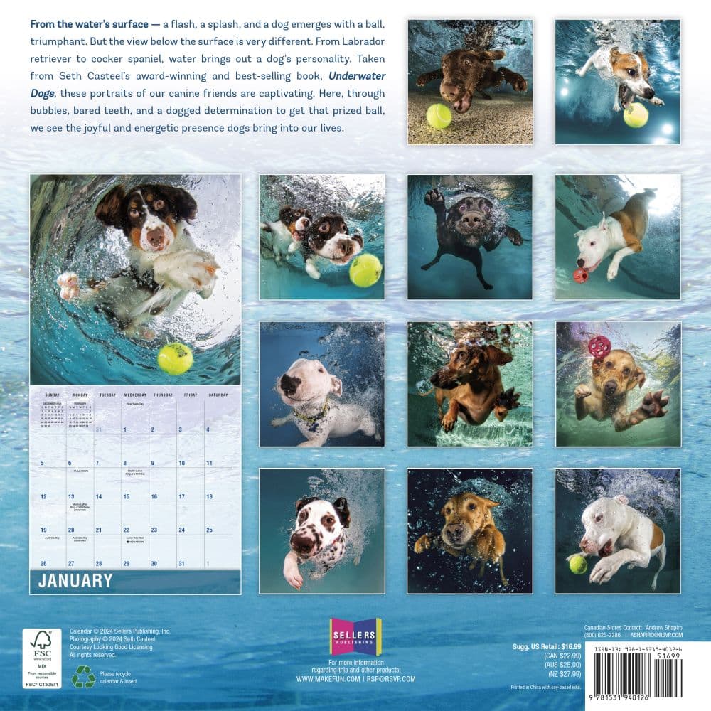 Underwater Dogs by Seth Casteel 2025 Wall Calendar First Alternate Image width=&quot;1000&quot; height=&quot;1000&quot;