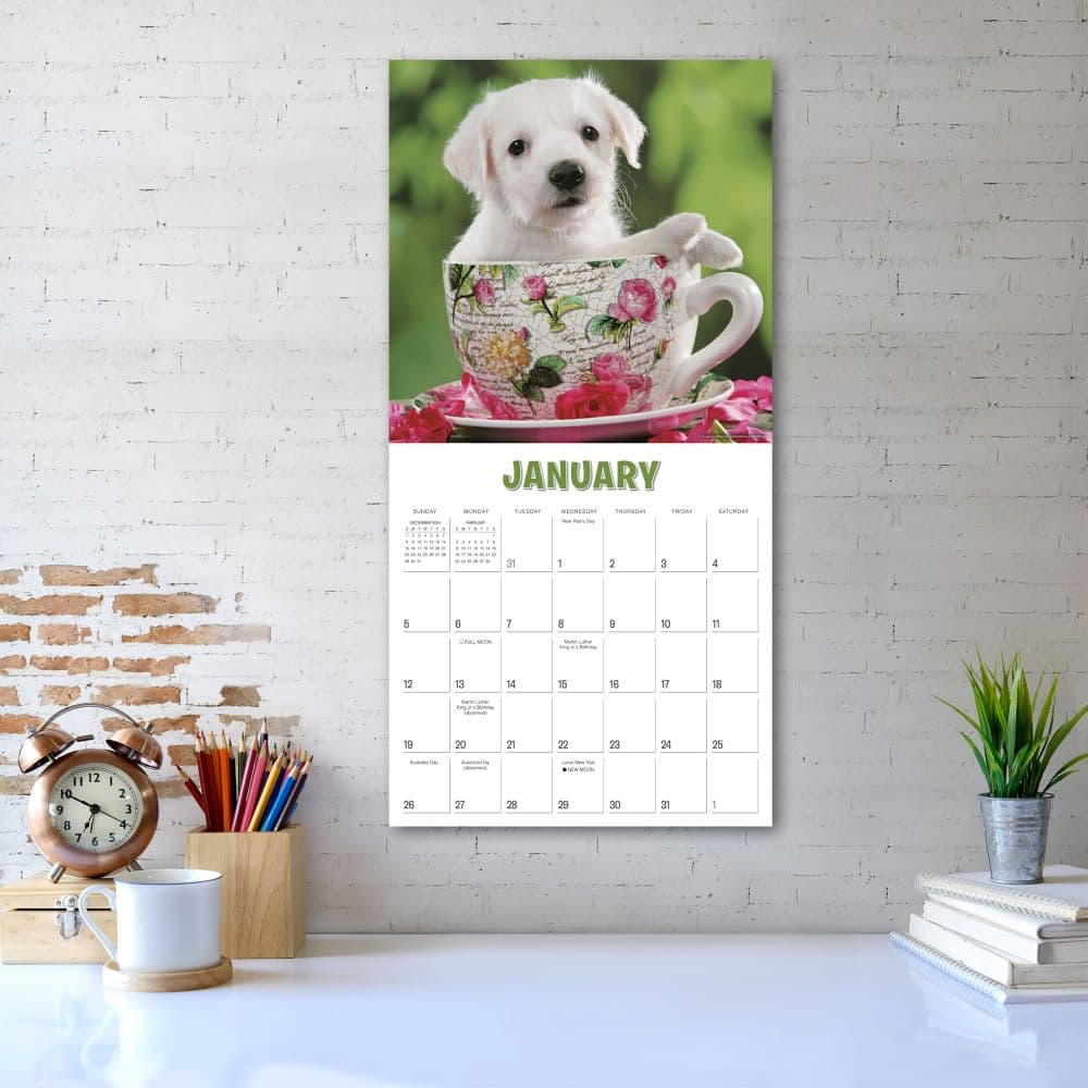 Pups in Cups 2025 Wall Calendar