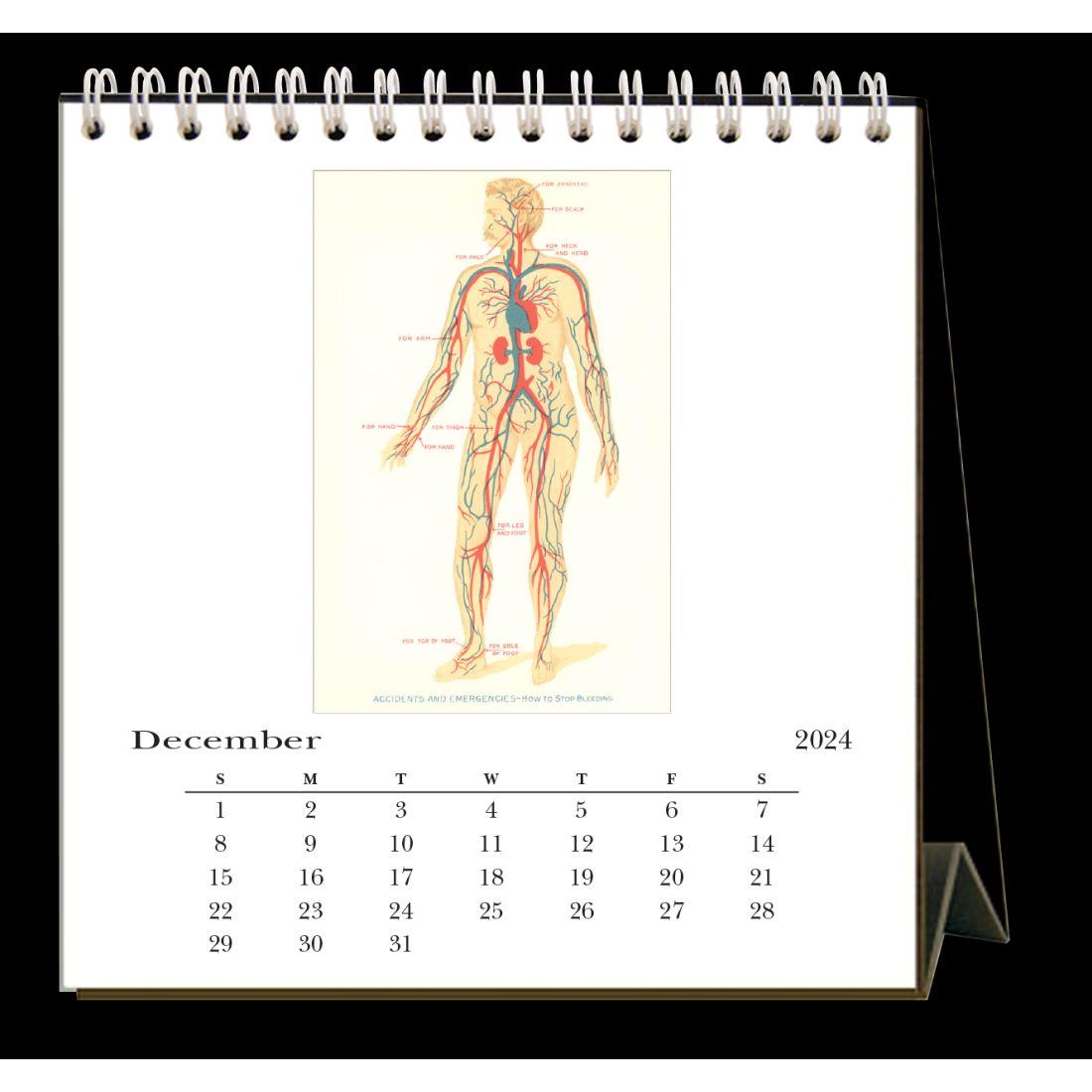 Anatomy 2024 Easel Desk Calendar