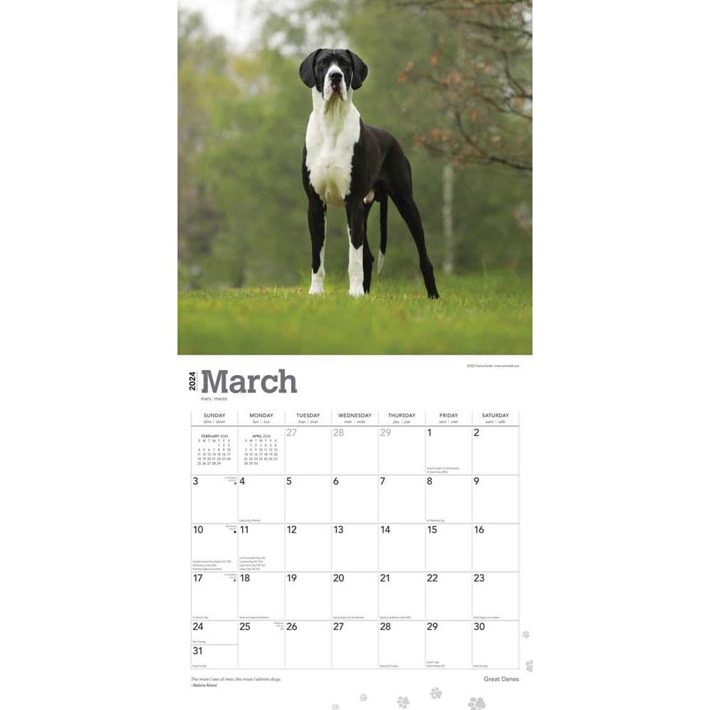 Great Danes International 2024 Wall Calendar