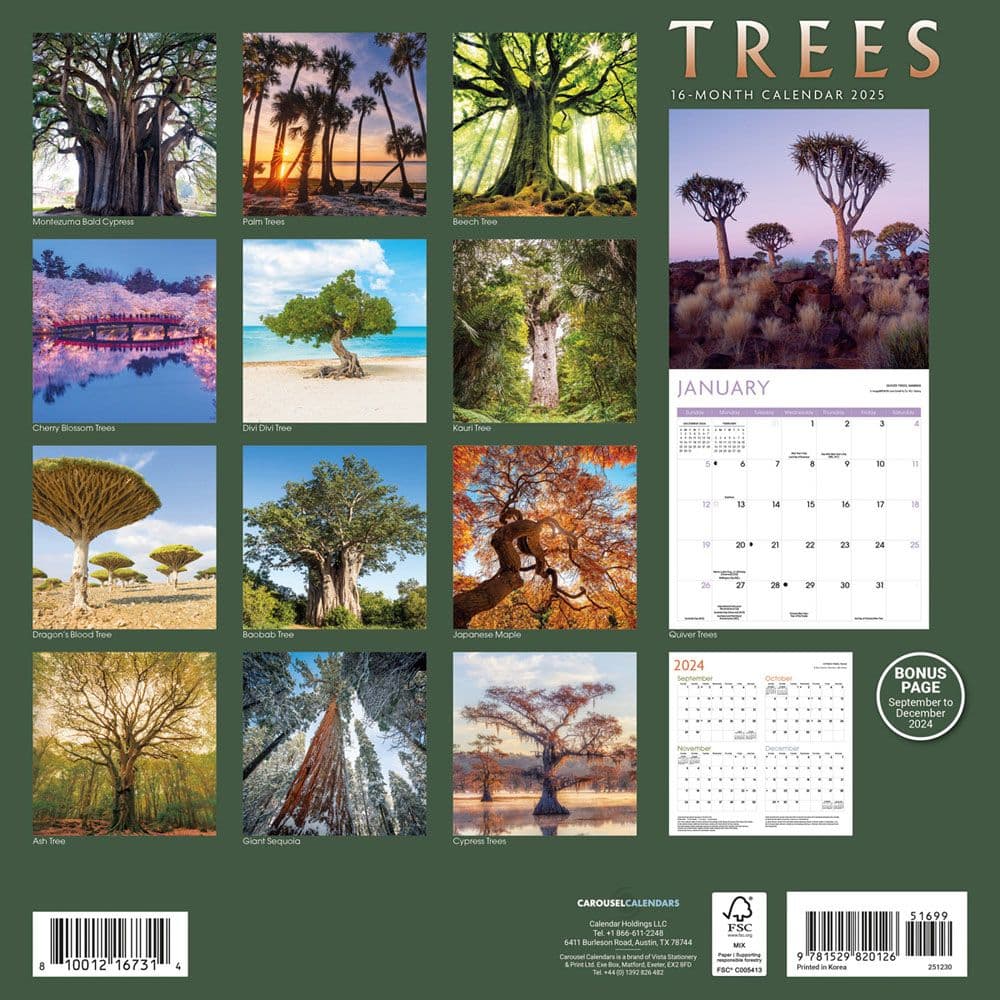 Trees 2025 Wall Calendar First Alternate Image width=&quot;1000&quot; height=&quot;1000&quot;