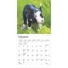 image Piglets 2025 Mini Wall Calendar